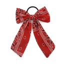 [33074] COLERO MOÑO BANDANA LARGO