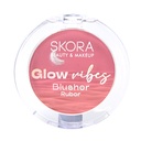 RUBOR MATTE DEGRADE