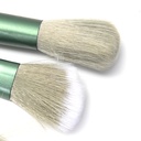 SET BROCHA MAQUILLAJE CON ESTUCHE X13