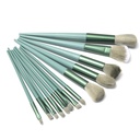 SET BROCHA MAQUILLAJE CON ESTUCHE X13