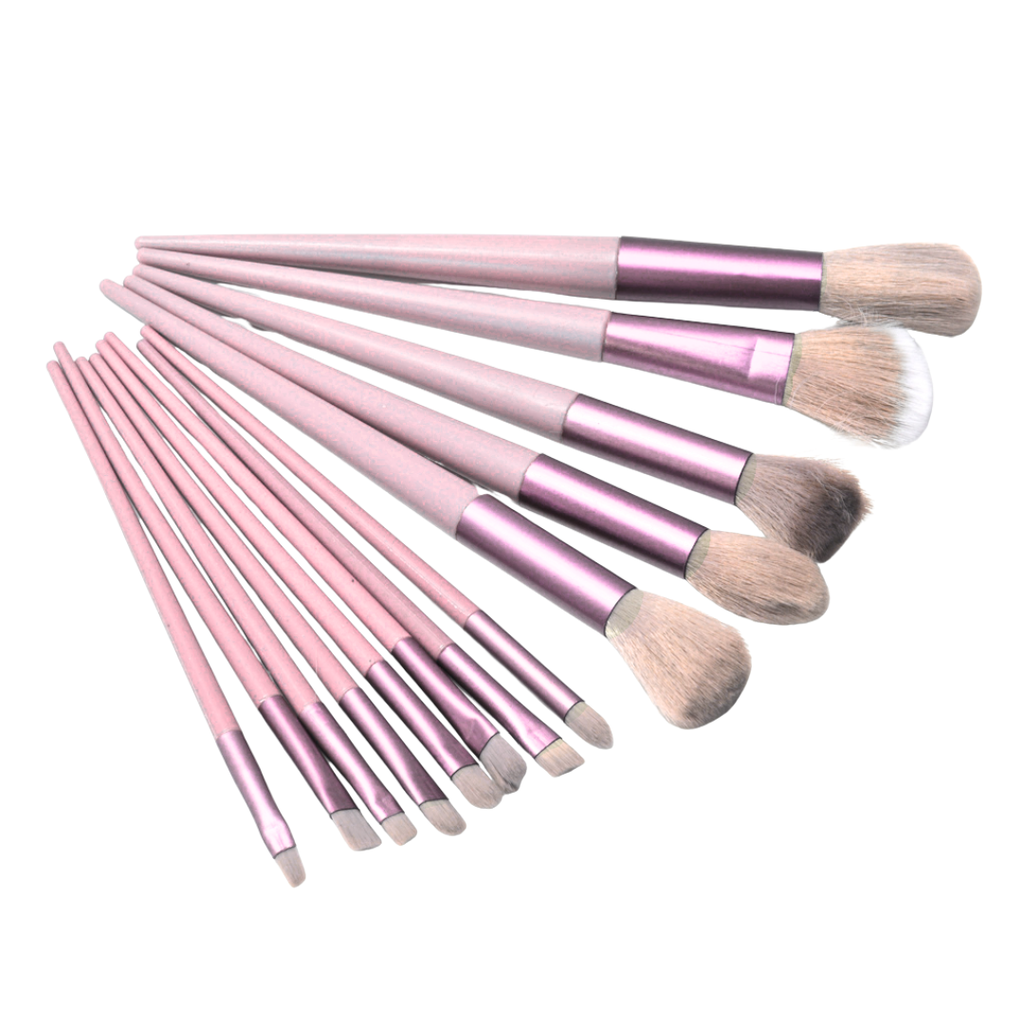 SET BROCHA MAQUILLAJE CON ESTUCHE X13