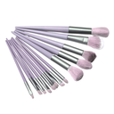 SET BROCHA MAQUILLAJE CON ESTUCHE X13