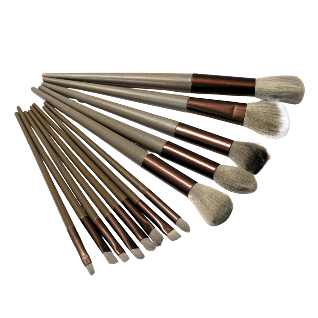SET BROCHA MAQUILLAJE CON ESTUCHE X13