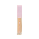 CONCEALER