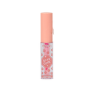 BRILLO DE LABIOS