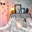 TELA DE ARAÑA EXPANDIBLE COLORES