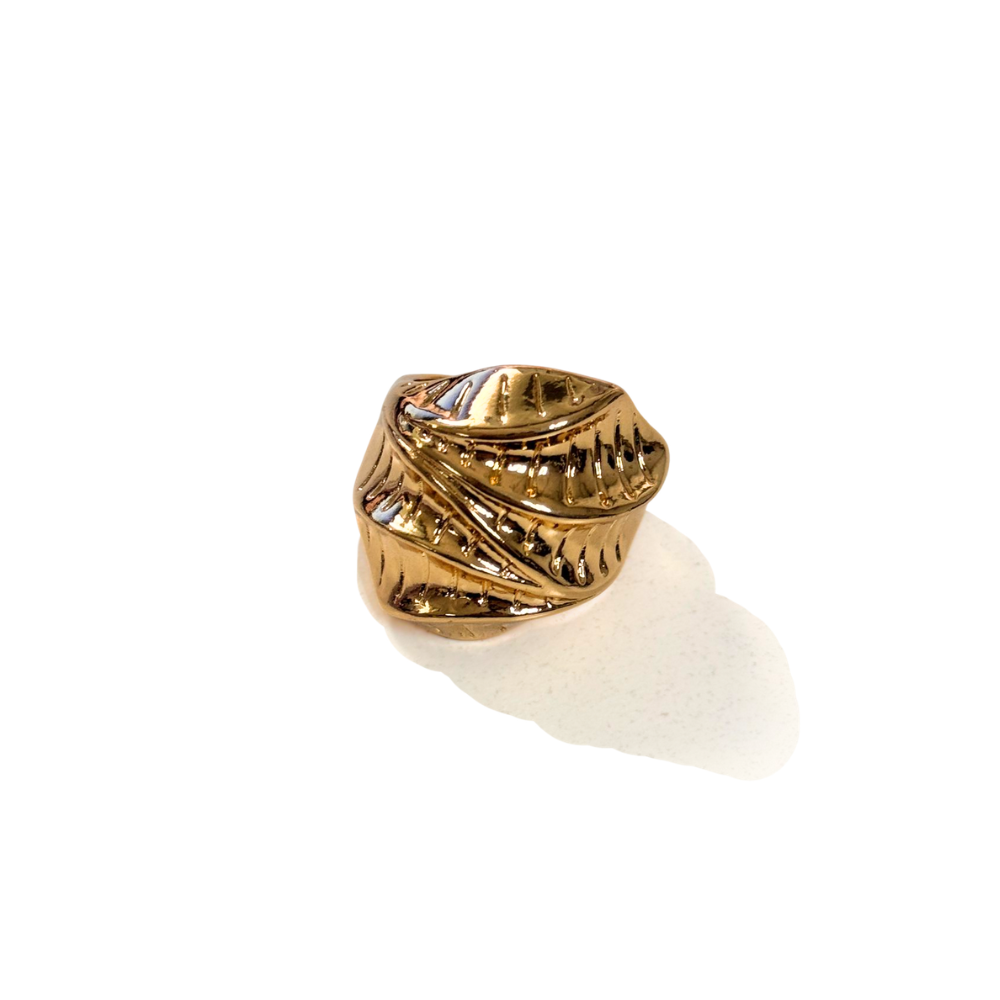 ANILLO INFLADO DISEÑOS SURTIDOS