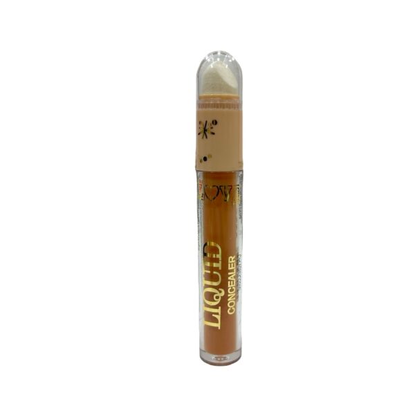 CORRECTOR LIQUIDO
