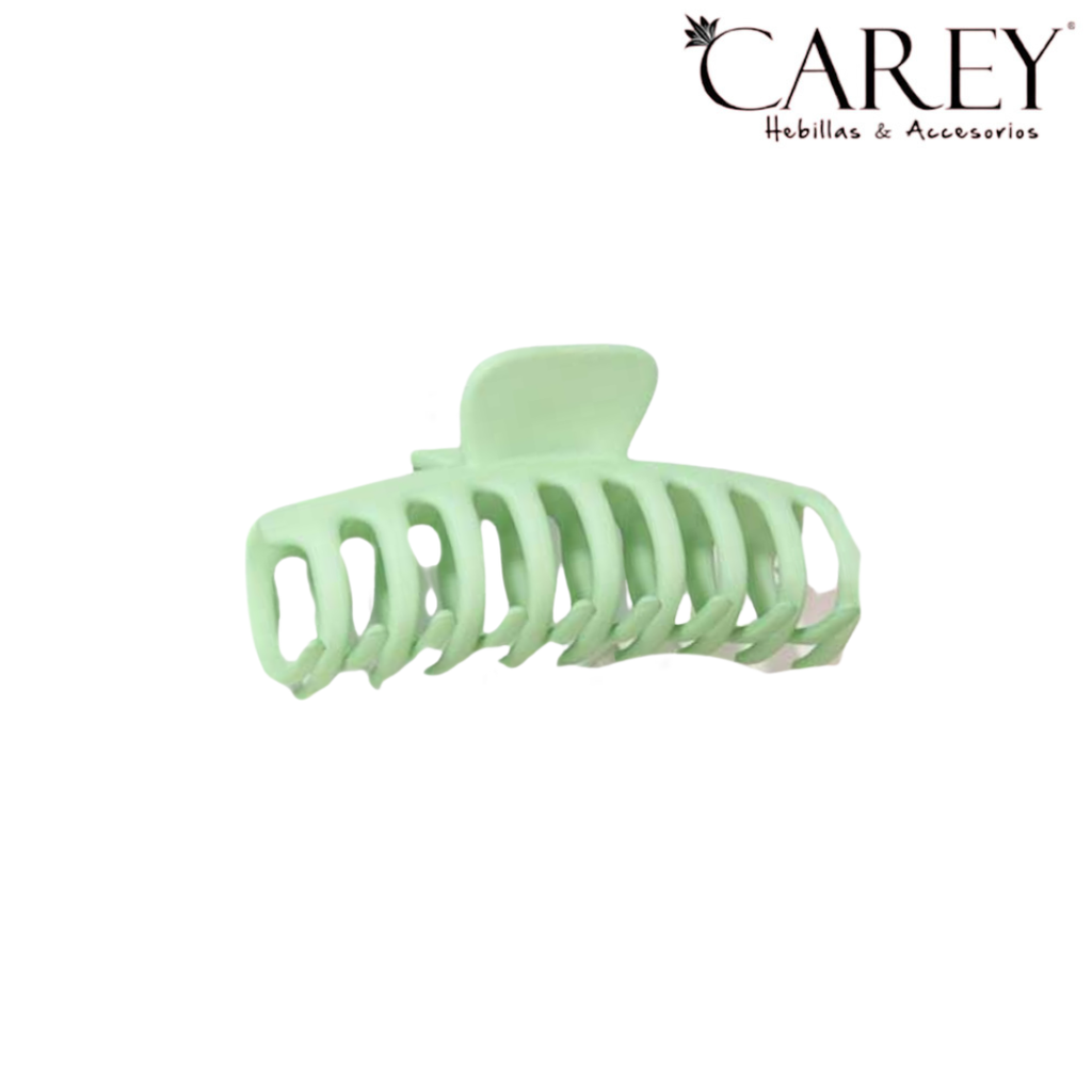 BROCHE CAREY COLORES LISOS OPACA
