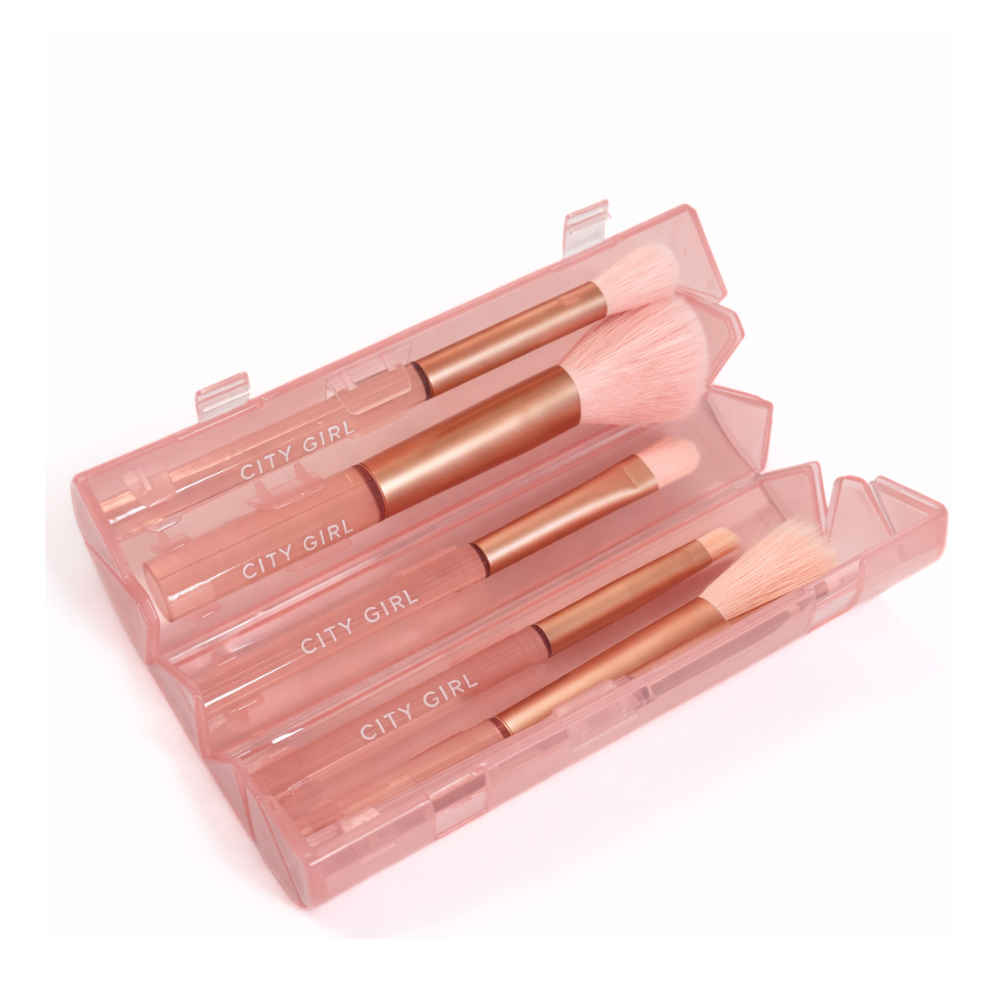 SET DE BROCHAS DE VIAJE X 6 PIEZAS