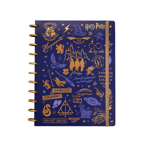 [46662] CUADERNO CON SISTEMA DE DISCOS CARTA HARRY POTTER