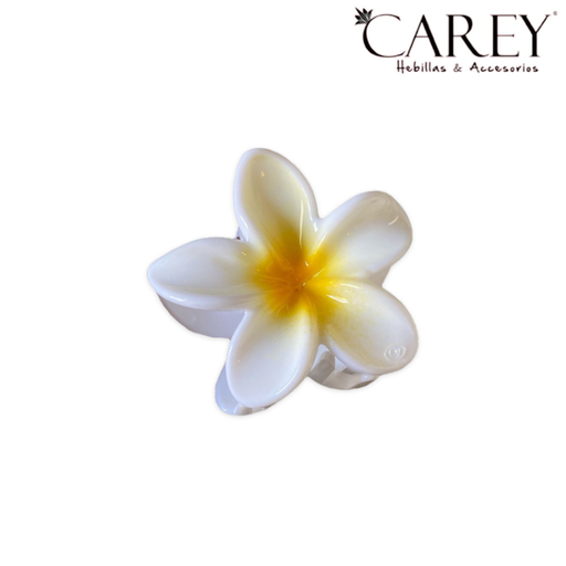 BROCHE CAREY HAWAIANA CENTRO BRILLOSO