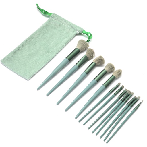 SET BROCHA MAQUILLAJE CON ESTUCHE X13