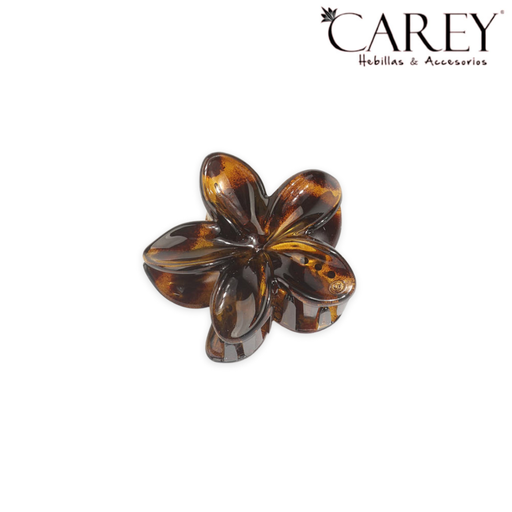 [48970] PINZA HAWAIANA ANIMAL PRINT CAREY