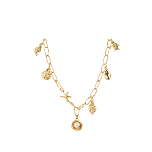 [50521] COLLAR CADENA ANCHA MULTIDIJE MAR