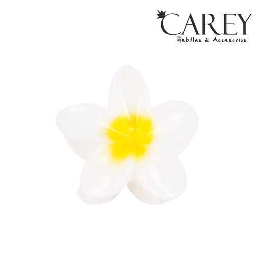 [50750] BROCHE PINZA HAWAIANA CHICA BICOLOR