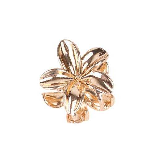 PINZA HAWAIANA METALIZADA